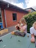 Foto vom Album: Sommerferien   Muscheln und Perlmutt