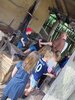 Foto vom Album: Sommerferien Wikingerdorf