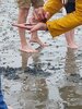 Foto vom Album: Sommerferien   Watterkundung