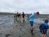 Foto vom Album: Sommerferien   Watterkundung
