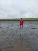 Foto vom Album: Sommerferien   Watterkundung