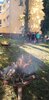 Foto vom Album: Herbstfest 06.10.2021