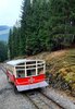 Foto vom Album: Bergbahn-Ausflug