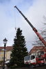 Foto vom Album: Aufbau und Schmücken des Weihnachtsbaumes