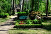 Doppelgrab Erdbestattung Waldfriedhof
