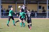Foto vom Album: Vier Tore auf heimischem Rasen und drei Punkte für die Tabelle