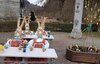 Foto vom Album: Hasenschule