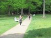 Foto vom Album: Spendenlauf 