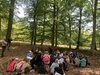 Foto vom Album: Mit allen Sinen durch den Stadtforst