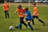 Foto vom Album: E-Junioren Leegebruch: Turniersieg beim ersten E-Junioren Fußballturnier der SG Blau-Weiß Leegebruch - Toller Erfolg unserer E1!