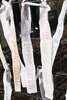 Foto vom Album: Flatternde Stoffbänder im Wind - Andacht zum Weltflüchtlingstag