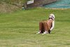 Foto vom Album: FIS Trainingscam Tag 5