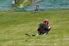 Foto vom Album: FIS Trainingscam Tag 5