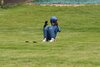 Foto vom Album: FIS Trainingscam Tag 5