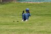 Foto vom Album: FIS Trainingscam Tag 5