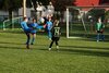 Foto vom Album: Trotz großen Kampfes klare 0-9 Niederlage unserer D1 gegen den TuS 1896 Sachsenhausen