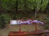 Foto vom Album: Graffitischmiererei am Naturlehrpfad