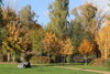Foto vom Album: Herbstspaziergang im Rosengarten