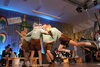 Foto vom Album: Musical and Show let's Go