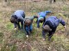 Foto vom Album: Elbtalgrundschule startet Pflanzaktion im Stadtwald