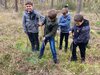 Foto vom Album: Elbtalgrundschule startet Pflanzaktion im Stadtwald