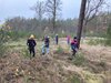 Foto vom Album: Elbtalgrundschule startet Pflanzaktion im Stadtwald
