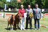 Fotoalbum Fohlenchampionat Pony- und Spezialrassen