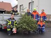 Foto vom Album: Weihnachtsbaumaktion und Baumglühen 2023