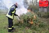 Foto vom Album: Der Baum brannte in Quitzow  (Bild vergrößern)