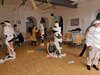 Foto vom Album: Faschingsparty 2023