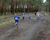 19 Die jungschen Weibers