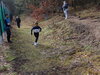 Foto vom Album: 2. Lauf der 39. Luckenwalder CLS 2023