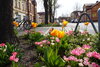 Rudolf-Breitscheid-Straße