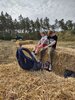 Foto vom Album: 6. Landwirtschaftstag in Legde