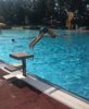 Foto vom Album: Schulsporttag im Freibad Böhlitz