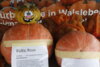 Foto vom Album: Kartoffel-Erlebnismarkt