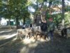 Foto vom Album: Herbstzauber in der Elbtalgrundschule
