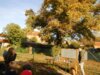 Foto vom Album: Herbstzauber in der Elbtalgrundschule