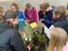 Foto vom Album: Herbstzauber in der Elbtalgrundschule