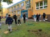 Foto vom Album: Herbstzauber in der Elbtalgrundschule