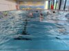 Foto vom Album: Schwimwoche mit Schwimmkurs