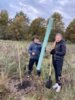 Foto vom Album: Flatterulmen pflanzen im Grenzgebiet