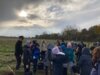 Foto vom Album: Flatterulmen pflanzen im Grenzgebiet