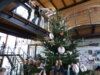 Foto vom Album: Kinder schmücken Weihnachtsbaum im Rathaus