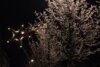 Foto vom Album: Kyritz leuchtete zu Lichterfest und Weihnachtszauber-Markt