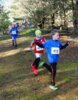 Foto vom Album: 2.Lauf Crosslaufserie 2024