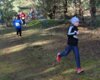 Foto vom Album: 2.Lauf Crosslaufserie 2024