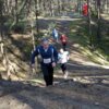 Foto vom Album: 2.Lauf Crosslaufserie 2024
