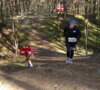 Foto vom Album: 2.Lauf Crosslaufserie 2024
