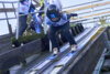 Foto vom Album: 2024-03-03 SC